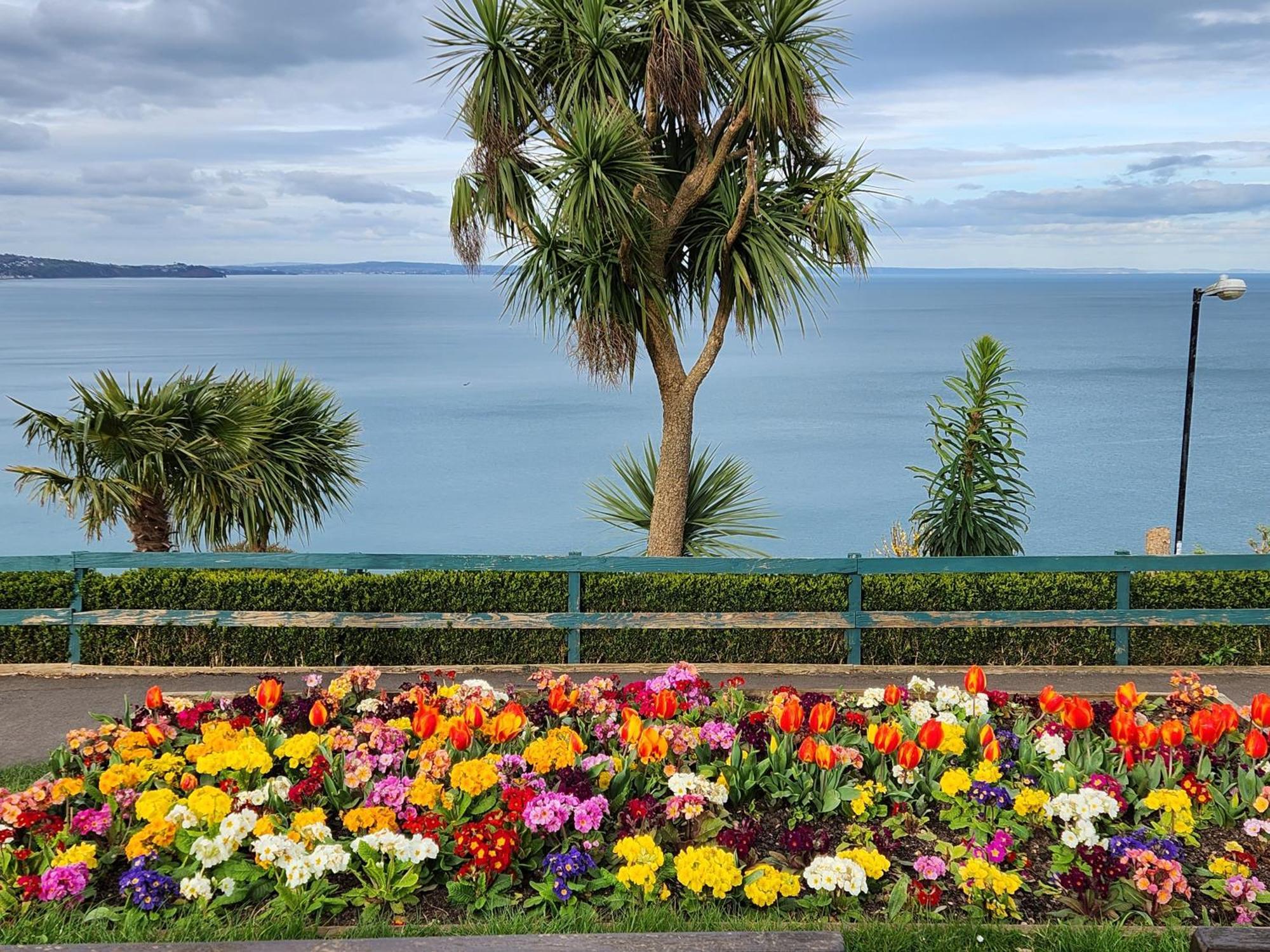 Rose Court Holiday Apartments Torquay Exterior foto
