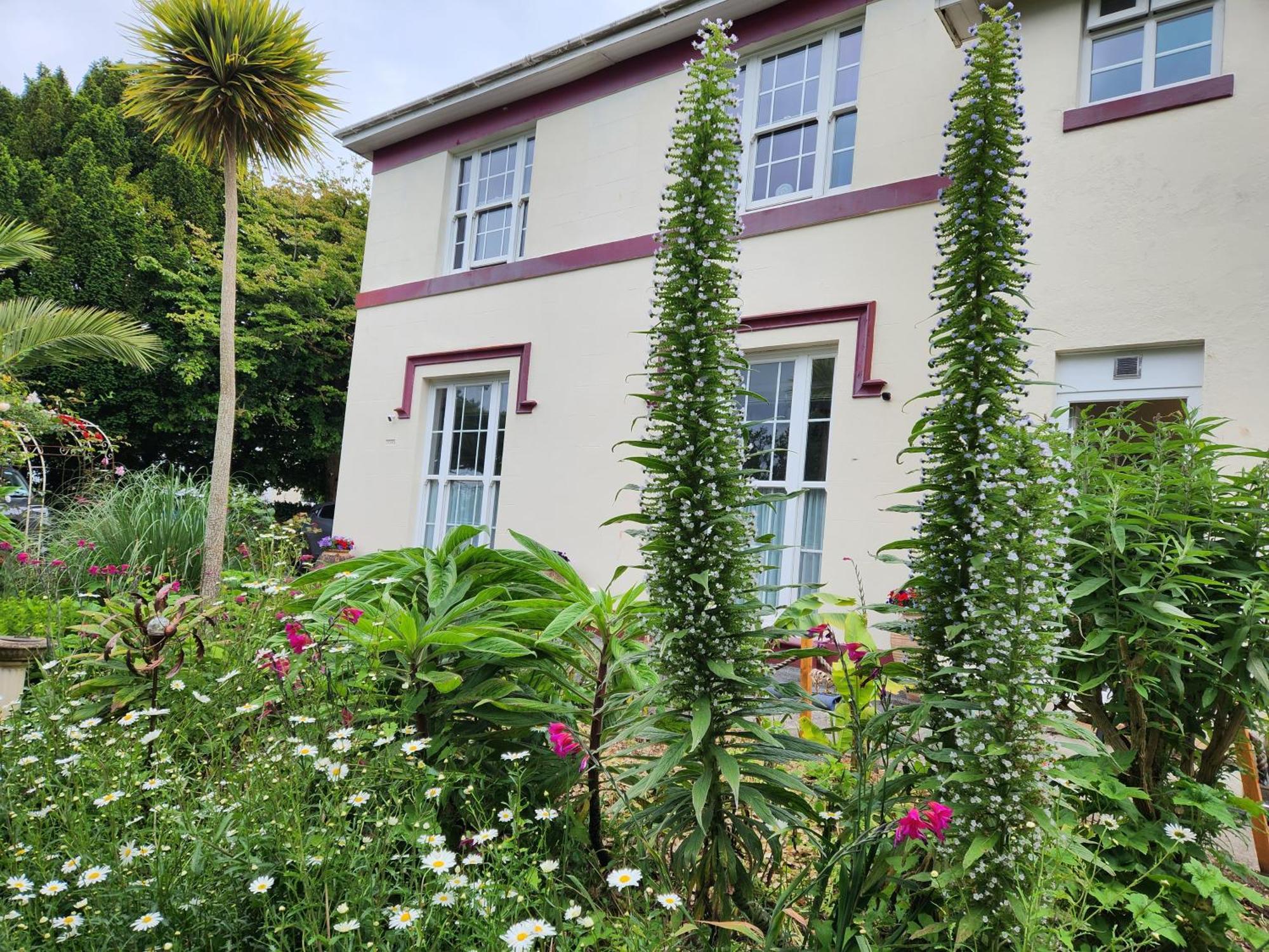 Rose Court Holiday Apartments Torquay Exterior foto