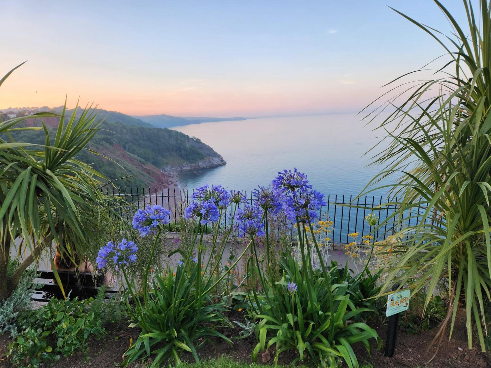 Rose Court Holiday Apartments Torquay Exterior foto