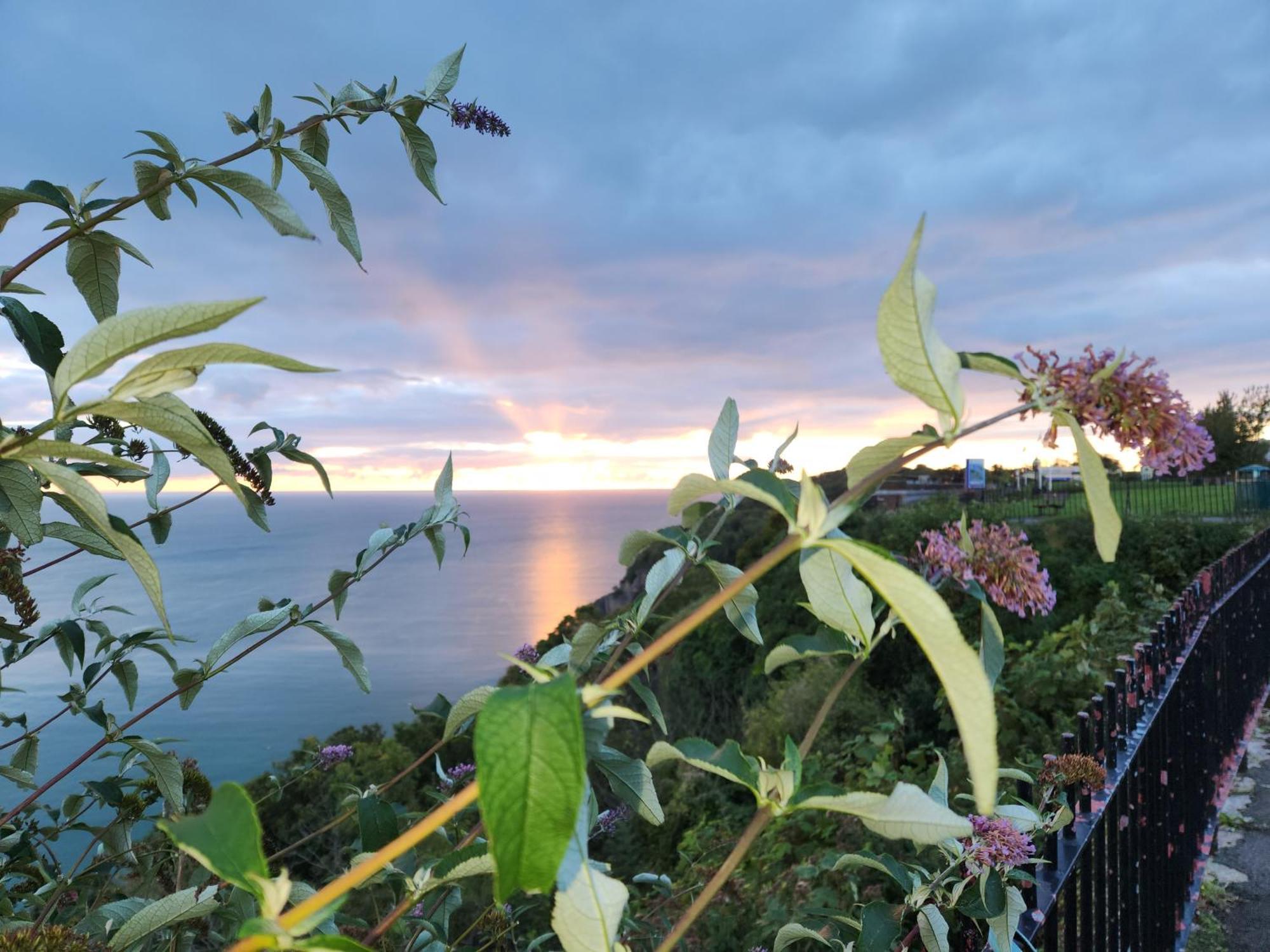 Rose Court Holiday Apartments Torquay Exterior foto