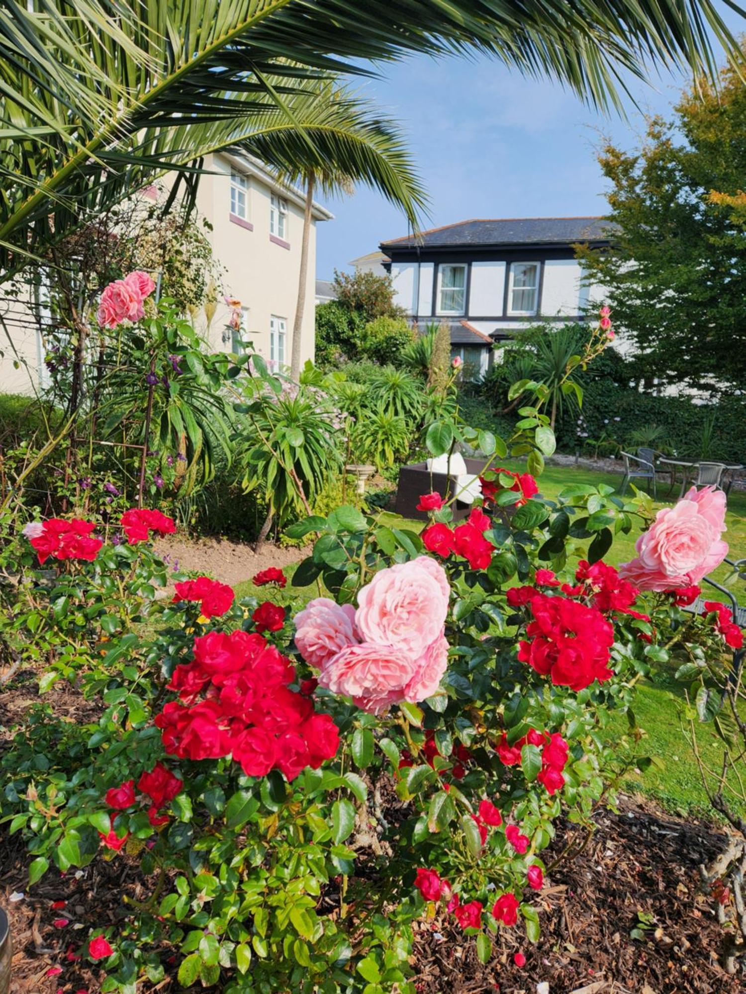 Rose Court Holiday Apartments Torquay Exterior foto